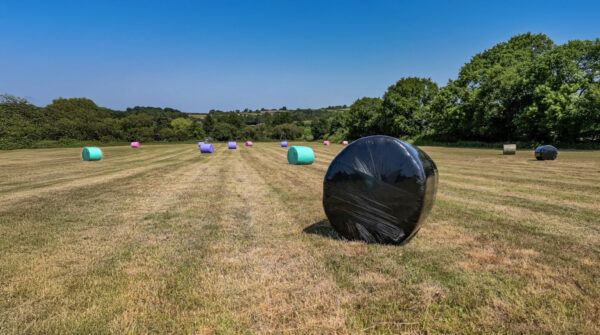 BLACK SILAGE WRAP 750MM WIDE - Image 6