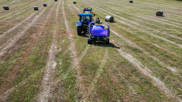 PURPLE SILAGE WRAP 360MM WIDE - Image 5