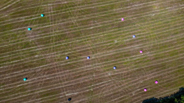 PINK SILAGE WRAP 750MM WIDE - Image 7